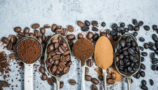 Caffeine: The Performance Enhancer