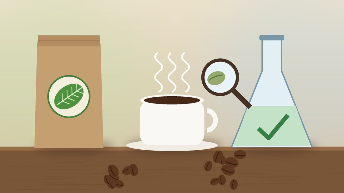 Illustration of a kraft coffee bag with a green leaf badge, a steaming cup of black coffee, and a lab flask with a checkmark beside a magnifying glass over a green coffee bean, with roasted beans on the counter.